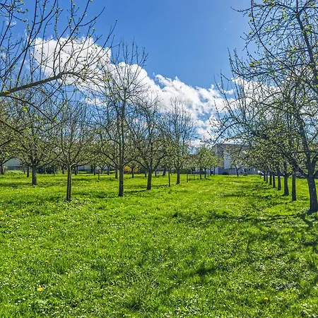 Ferien Am Lipbachpark Apartment